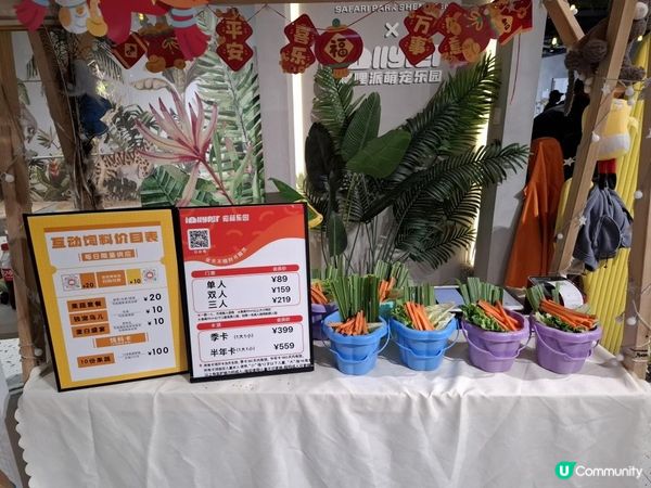 【暟。玩。樂】#71 三鮮過海 x 萌寵樂園 x 美奈小館【深圳遊 5】