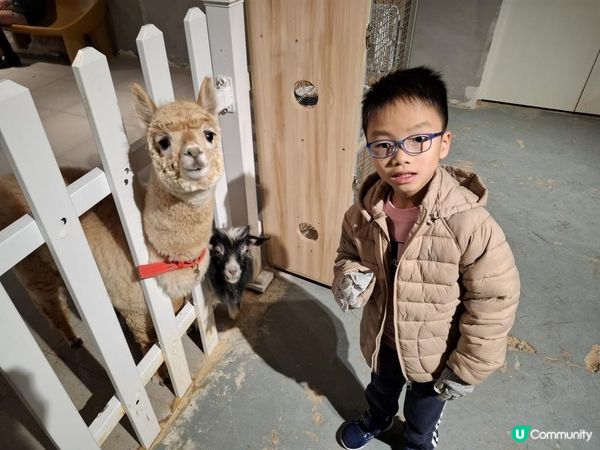 【暟。玩。樂】#71 三鮮過海 x 萌寵樂園 x 美奈小館【深圳遊 5】