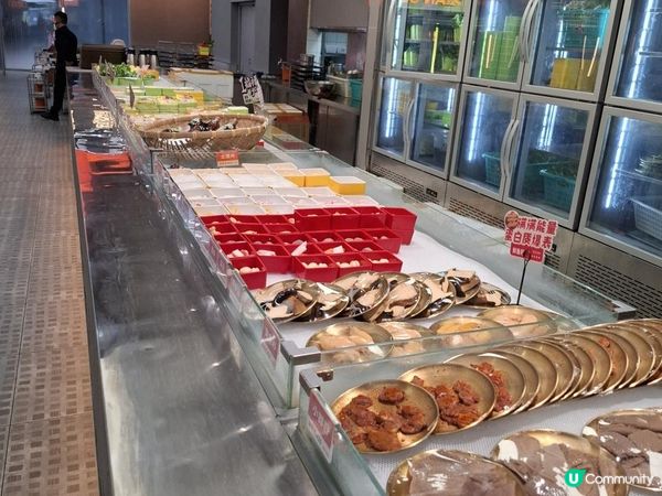 【暟。玩。樂】#71 三鮮過海 x 萌寵樂園 x 美奈小館【深圳遊 5】