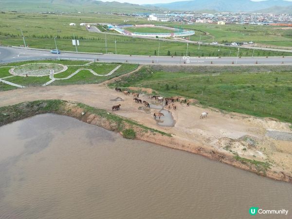 【蒙古自由行】$0自製蒙古草原一日遊，食烏蘭巴托最高分餐廳竟
