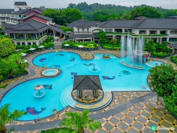 觀瀾湖夏令營 開啟孩子榮耀征途