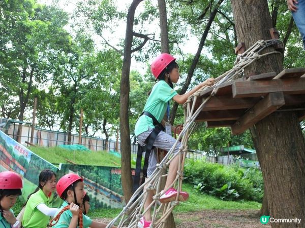 觀瀾湖夏令營 開啟孩子榮耀征途