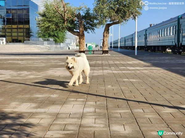 🚞【蒙古自由行】最省錢的過夜硬臥火車體驗：橫越草原與沙漠，