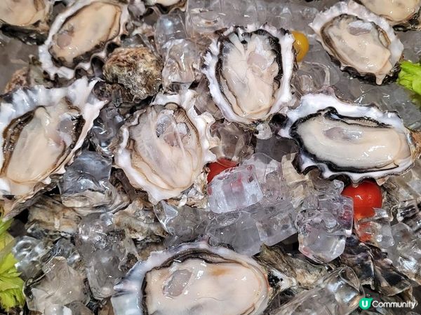 「海鮮交“饗”樂」 @ 歷山餐廳 ( 北角歷山酒店 )