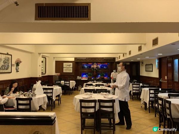 陸羽茶室 - 感受老香港情懷