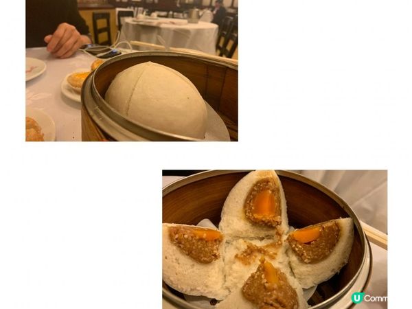 陸羽茶室 - 感受老香港情懷