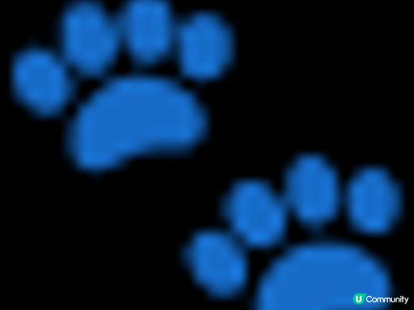 【免費親子活動】綠惜地球 - 【山林密語】無痕山林環保展覽