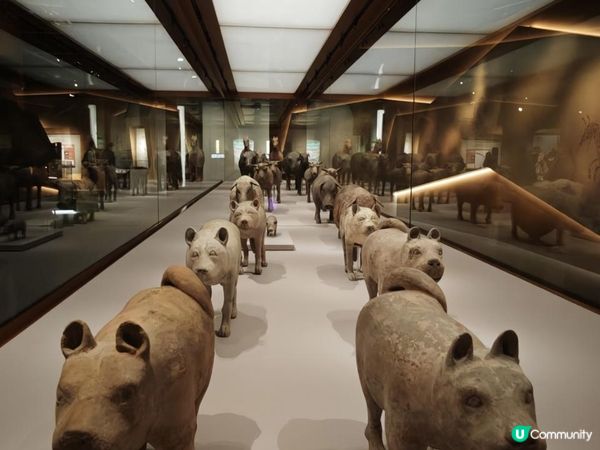 跟住Travel Buddy本地遊 - 天下一統：陝西秦漢文明展