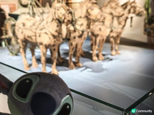 跟住Travel Buddy本地遊 - 天下一統：陝西秦漢文明展