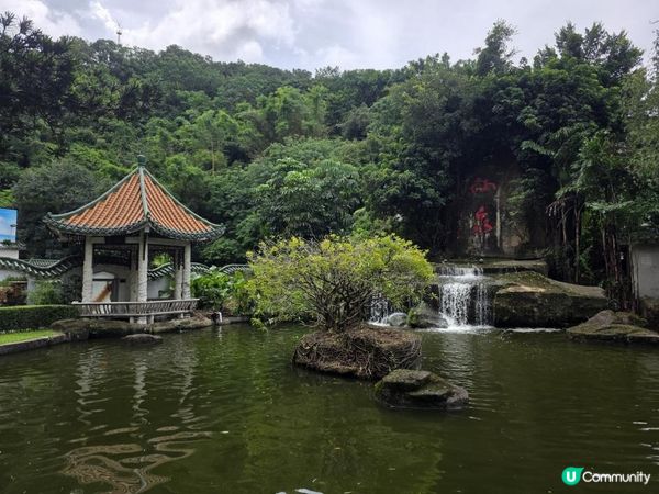 【順德美食】深中通道直達粵菜發源地👀兩日一夜自由行🔥酒店點心只需$10？吃盡雙皮奶＋撈魚皮燒鵝＋夜市小吃｜ What's Guangdong cuisine in Shunde, China?