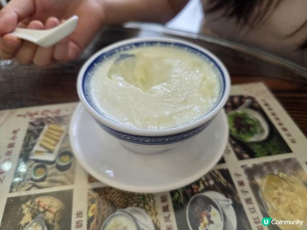 【順德美食】深中通道直達粵菜發源地👀兩日一夜自由行🔥酒店點心只需$10？吃盡雙皮奶＋撈魚皮燒鵝＋夜市小吃｜ What's Guangdong cuisine in Shunde, China?