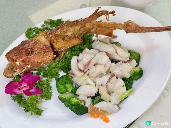 米芝蓮一星推介 !