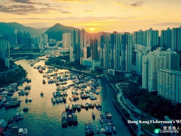 🌊✨ 香港隱藏秘境 — 香港漁人碼頭!🛶🐟