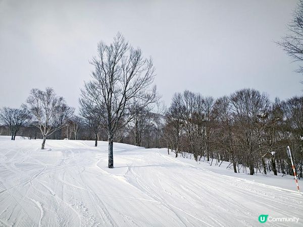 越後雪旅。日本越後湯沢親子滑雪遊記。Day 3
