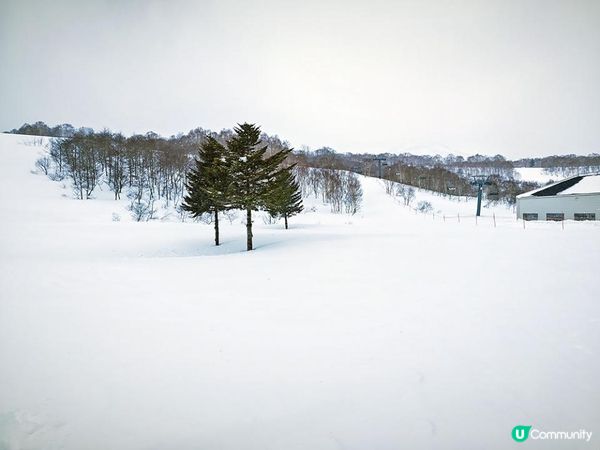 越後雪旅。日本越後湯沢親子滑雪遊記。Day 3