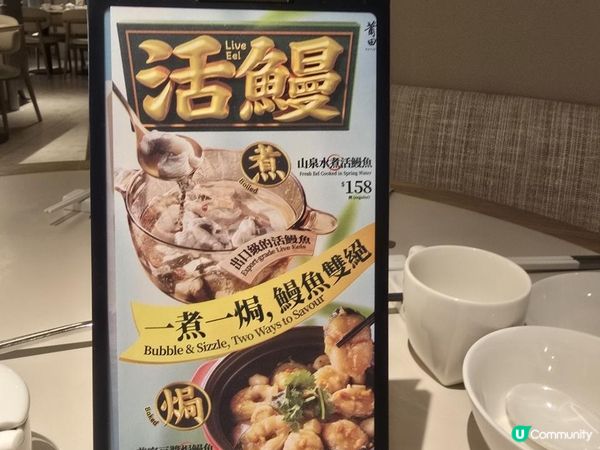 莆田鰻魚節 吃個痛快呀!