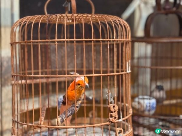 卧底世界🧑‍💻🎬🎥