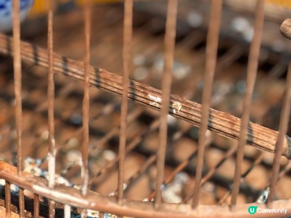 卧底世界🧑‍💻🎬🎥