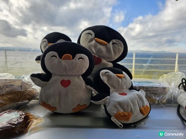 【北海道自由行】$500去北海道🚢日本最新深度玩法連日本人都很少知道？睡一晚直達｜開箱19小時過夜商船三井Sunflower號渡輪體驗｜【冬日玩轉東日本系列 EP3】｜momojoejoe