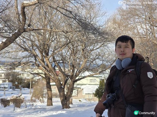 【北海道自由行】浪漫玩雪必遊小鎮❄️沒有遊客知道🤫 深度探訪日本消滅可能町🚨僅距離函館1小時車程 冬日雪景慢遊無人北海道，地元美食元祖魷魚飯｜【冬日玩轉東日本系列 EP5】｜momojoejoe