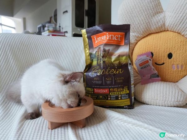 美國原點Instinct 皇極鮮雞｜WDJ飼料推薦必買凍乾開箱！