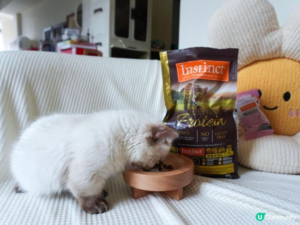 美國原點Instinct 皇極鮮雞｜WDJ飼料推薦必買凍乾開箱！