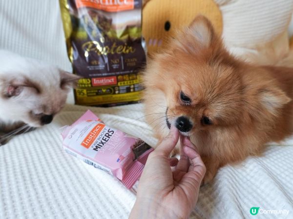 美國原點Instinct 皇極鮮雞｜WDJ飼料推薦必買凍乾開箱！