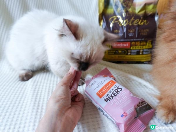 美國原點Instinct 皇極鮮雞｜WDJ飼料推薦必買凍乾開箱！