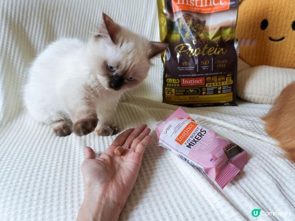 美國原點Instinct 皇極鮮雞｜WDJ飼料推薦必買凍乾開箱！