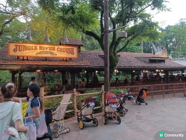 ⛵ 萬聖節版森林河流之旅