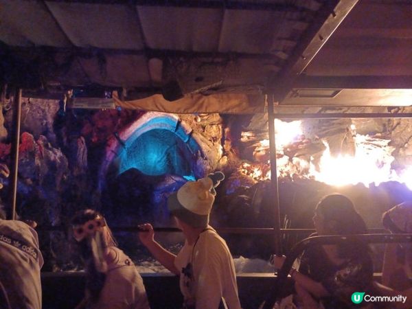 ⛵ 萬聖節版森林河流之旅