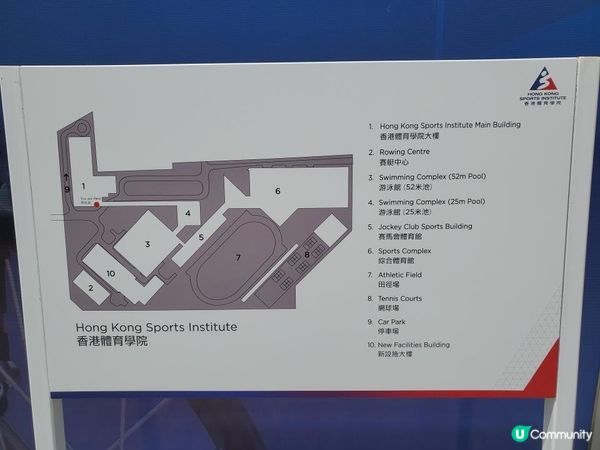 《維港泳 ~ 1,500米水試》