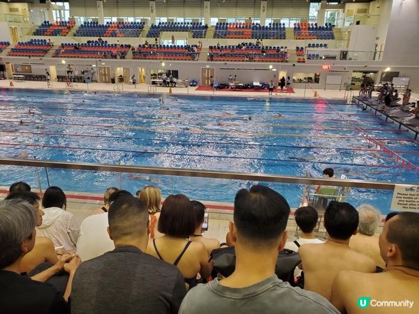 《維港泳 ~ 1,500米水試》