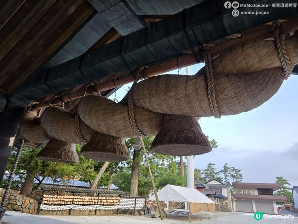 【日本山陰自由行2025】在地人推薦！搭昭和懷舊小火車去出雲大社🚋｜差點中伏？！日本最強結緣神社直擊巨型注連繩×稻佐之濱夕陽秘境｜Momojoejoe遊山陰VlogEP3
