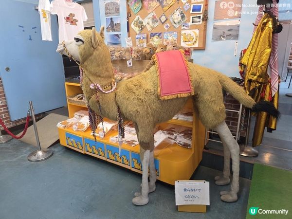 【日本山陰自由行】鳥取必去景點美食懶人包：¥350梨雪糕🍦人氣迴轉壽司踩雷還是驚喜🤪？米子-鳥取超級松風號看鳥取砂丘彩虹｜2年後重遊的驚喜大不同！｜Momojoejoe遊山陰VlogEP4