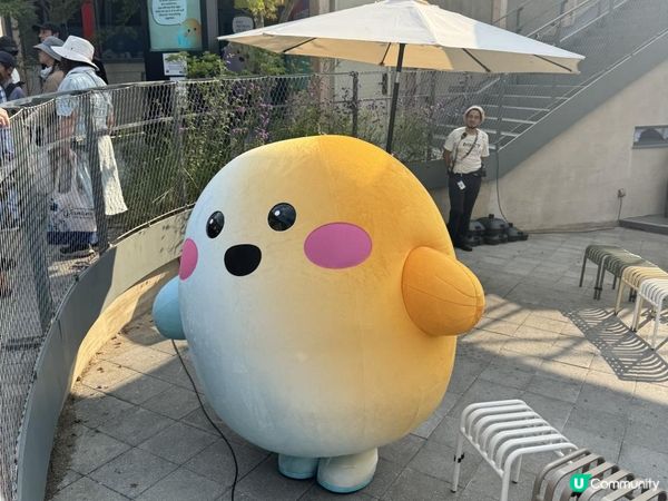 大阪世界博覽最新體驗