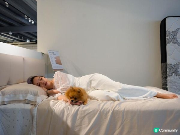 所丘家居｜台灣製造 × 客製化沙發
