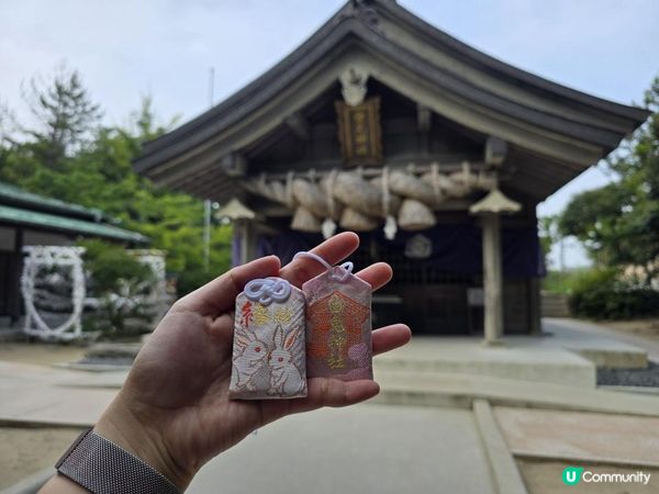 【日本山陰自由行】🐰全日本最浪漫白兔神社・白兔海岸一日遊全攻略｜非自駕也能到🌊🚶‍♀️鳥取自由行必去景點 Tottori Japan Travel｜Momojoejoe遊山陰VlogEP5