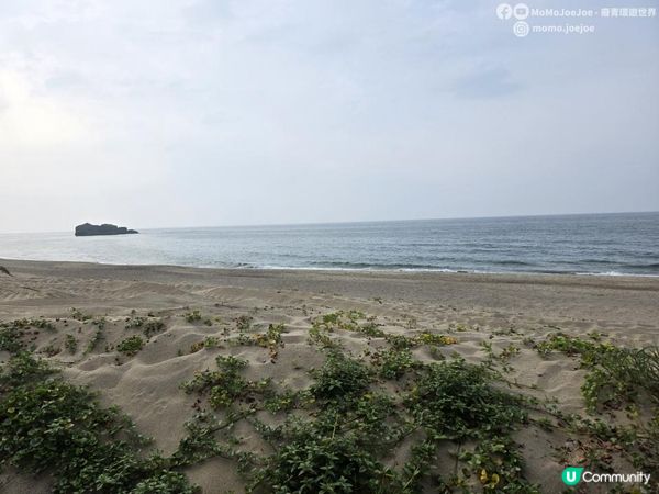 【日本山陰自由行】🐰全日本最浪漫白兔神社・白兔海岸一日遊全攻略｜非自駕也能到🌊🚶‍♀️鳥取自由行必去景點 Tottori Japan Travel｜Momojoejoe遊山陰VlogEP5