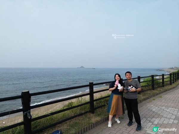 【日本山陰自由行】🐰全日本最浪漫白兔神社・白兔海岸一日遊全攻略｜非自駕也能到🌊🚶‍♀️鳥取自由行必去景點 Tottori Japan Travel｜Momojoejoe遊山陰VlogEP5