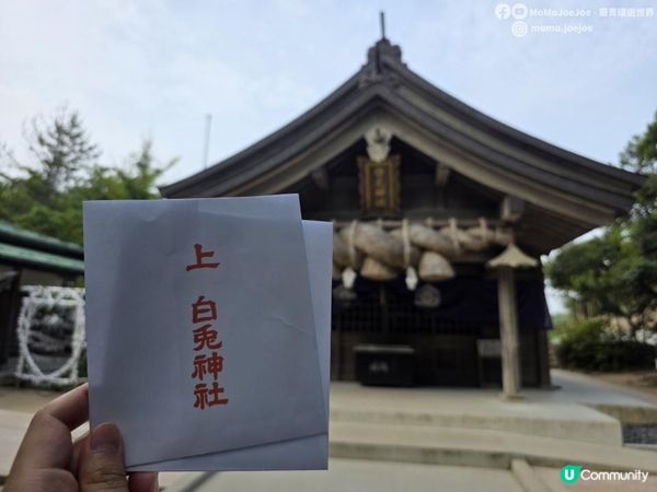 【日本山陰自由行】🐰全日本最浪漫白兔神社・白兔海岸一日遊全攻略｜非自駕也能到🌊🚶‍♀️鳥取自由行必去景點 Tottori Japan Travel｜Momojoejoe遊山陰VlogEP5