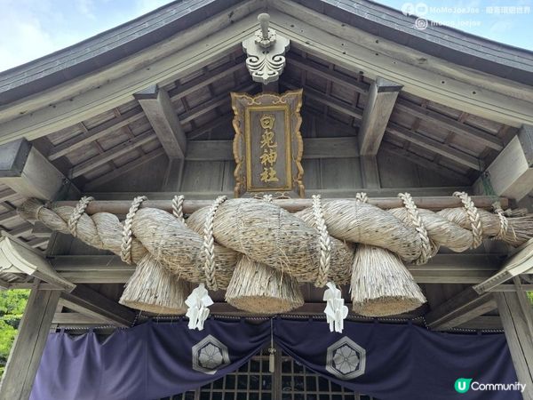 【日本山陰自由行】🐰全日本最浪漫白兔神社・白兔海岸一日遊全攻略｜非自駕也能到🌊🚶‍♀️鳥取自由行必去景點 Tottori Japan Travel｜Momojoejoe遊山陰VlogEP5
