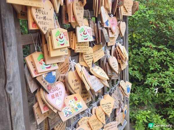 【日本山陰自由行】🐰全日本最浪漫白兔神社・白兔海岸一日遊全攻略｜非自駕也能到🌊🚶‍♀️鳥取自由行必去景點 Tottori Japan Travel｜Momojoejoe遊山陰VlogEP5