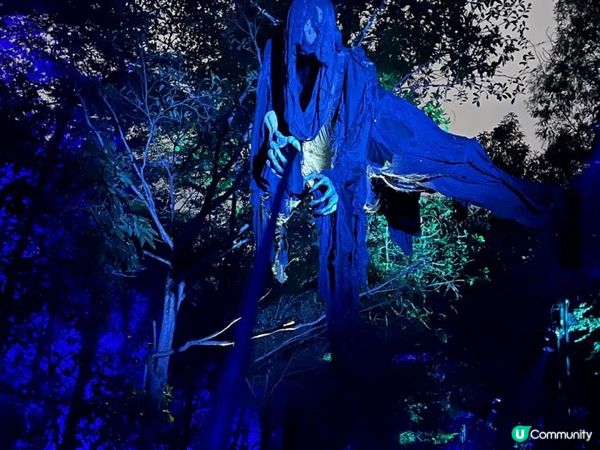 沉浸式哈利波特禁忌森林體驗