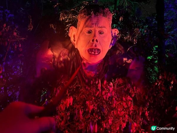 沉浸式哈利波特禁忌森林體驗