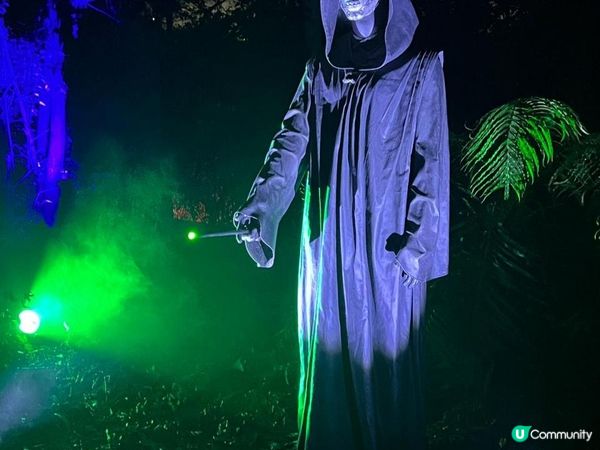 沉浸式哈利波特禁忌森林體驗