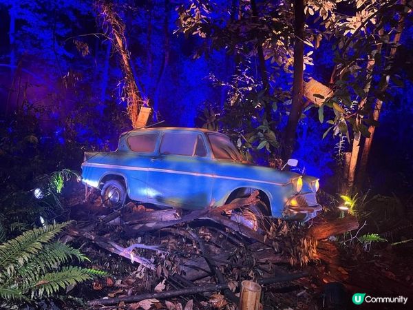 沉浸式哈利波特禁忌森林體驗