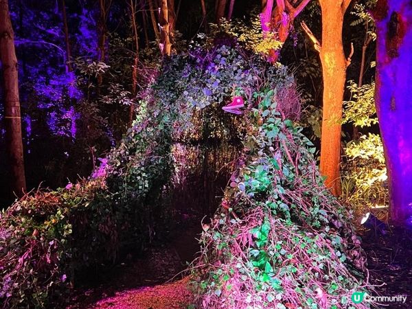 沉浸式哈利波特禁忌森林體驗