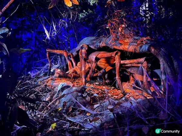 沉浸式哈利波特禁忌森林體驗