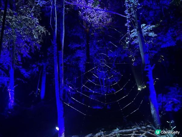 沉浸式哈利波特禁忌森林體驗